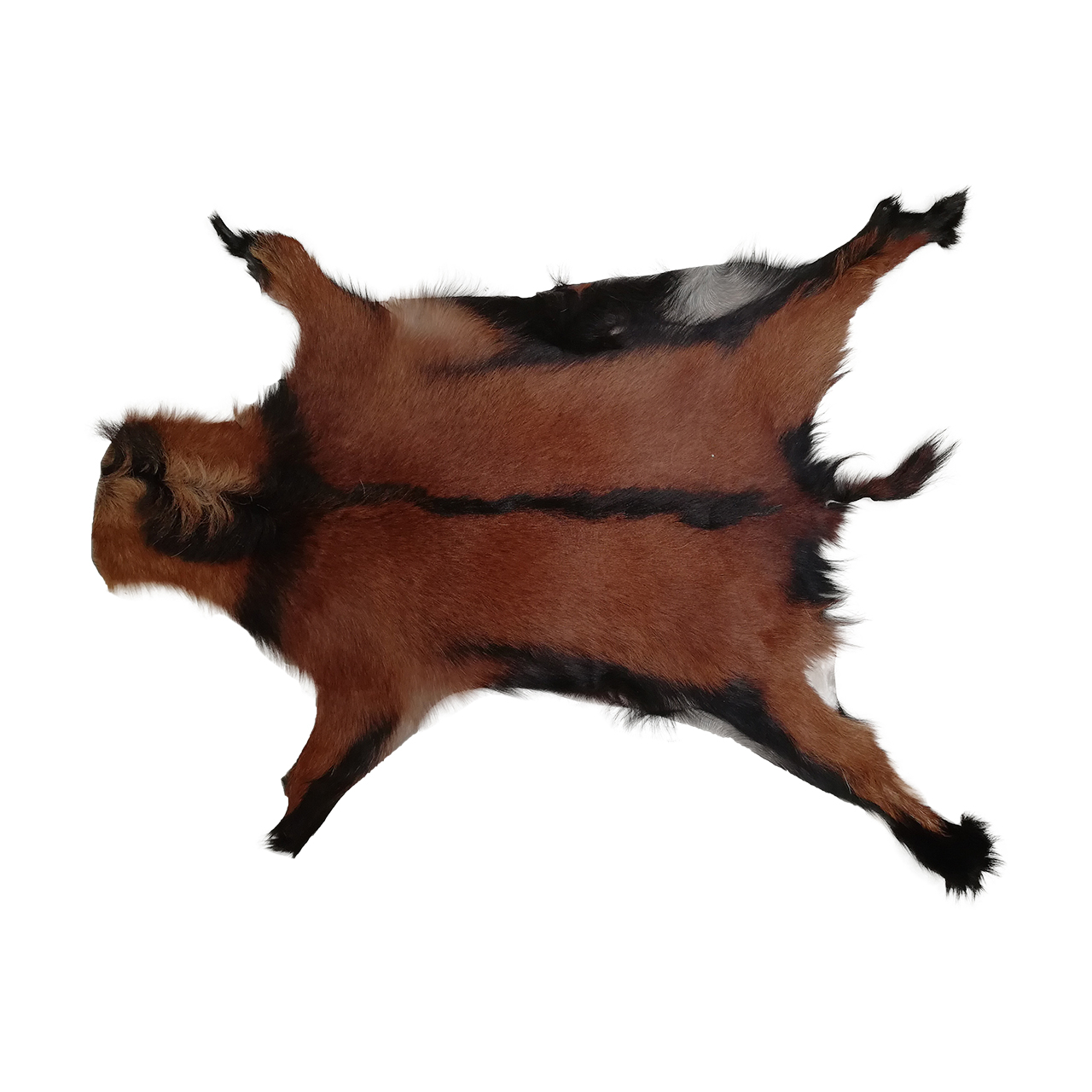 فرش پوست و چرم کمالی مدل AC-00480