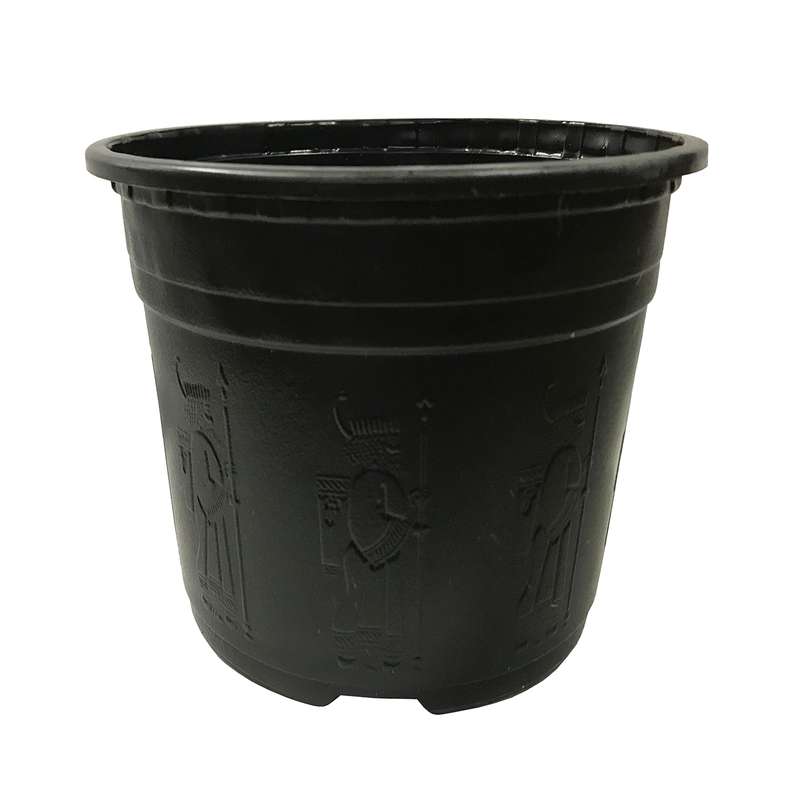 گلدان مدل پارس کد Ir-11 بسته 6 عددی