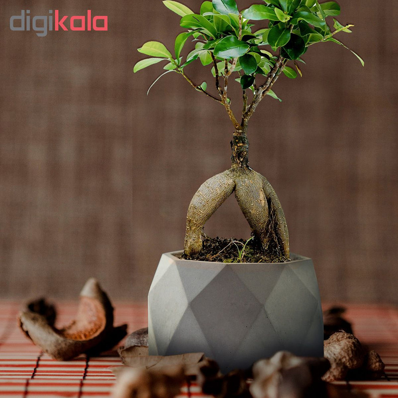 گلدان تنجه کد EM1010