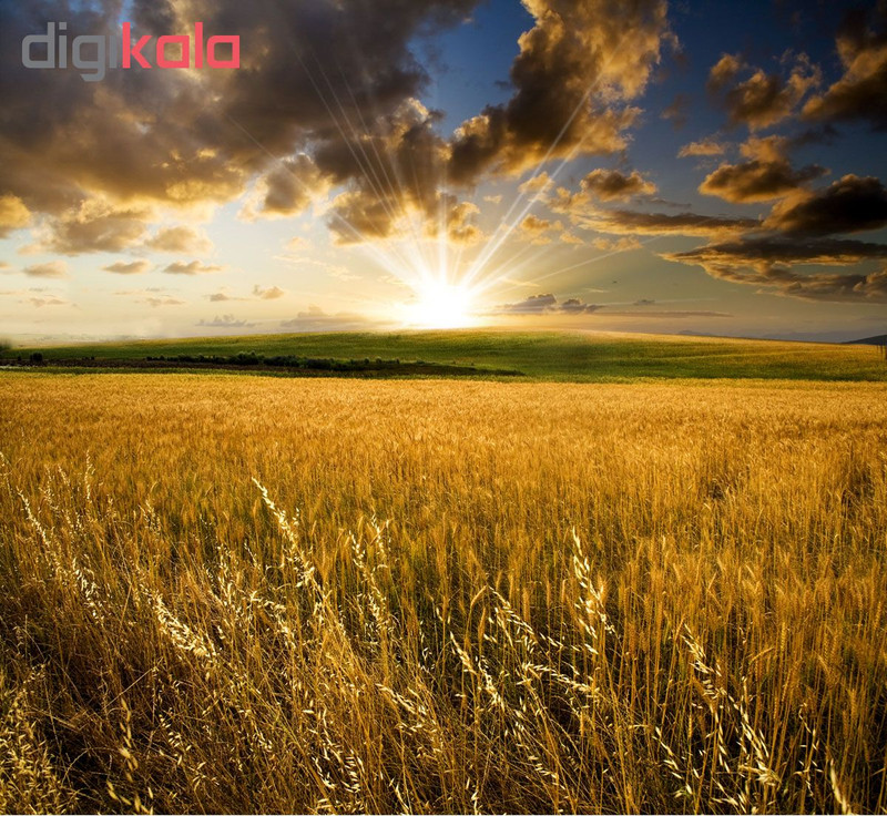 پوستر دیواری سه بعدی طرح دشت کد 01133
