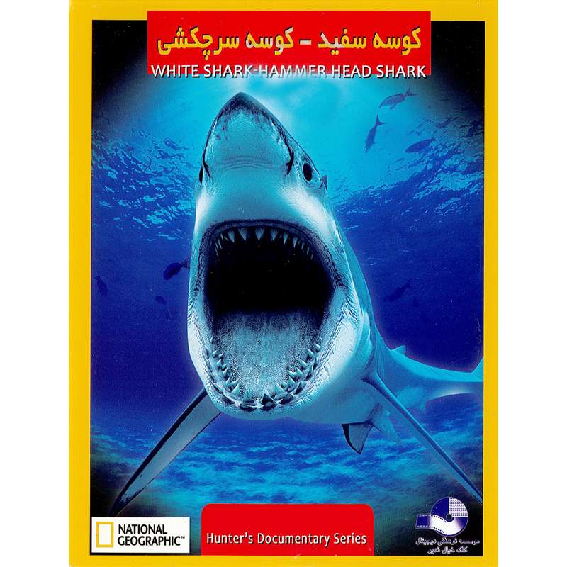 مستند کوسه سفید کوسه سرچکشی اثر آلکس گیبنی نشر کلک خیال غدیر مستند کوسه سفید کوسه سرچکشی اثر آلکس گیبنی نشر کلک خیال غدیر