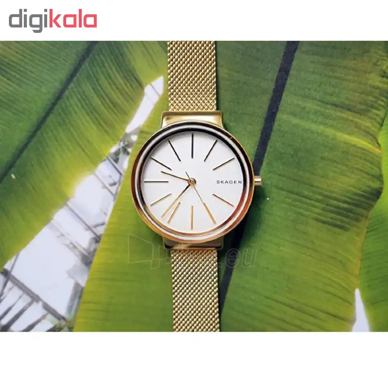 ساعت مچی عقربه ای زنانه اسکاژن دانمارک کد skw2477