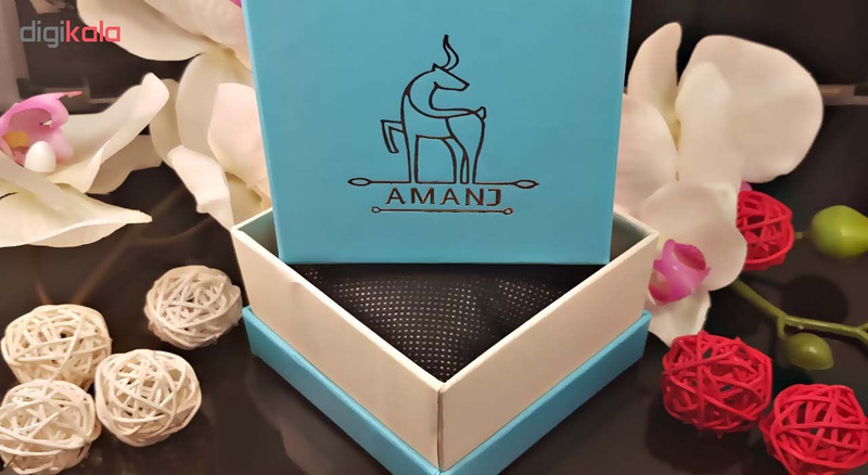 آویز گردنبند طلای 18 عیار آمانژ مدل D419 سایز 0.50 گرم