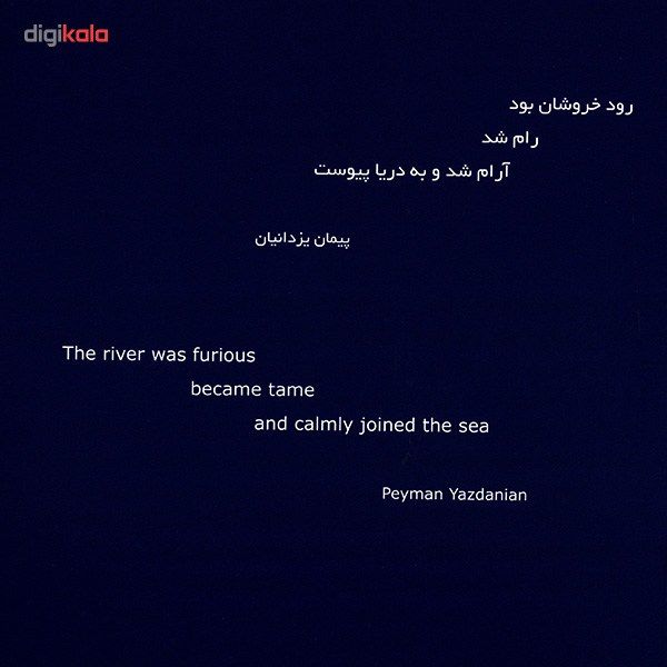 آلبوم موسیقی رام اثر پیمان یزدانیان و حسام اینانلو