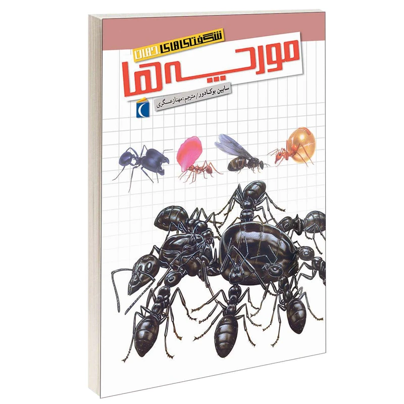 کتاب شگفتی های جهان مورچه ها اثر سابین بوکادور انتشارات محراب قلم