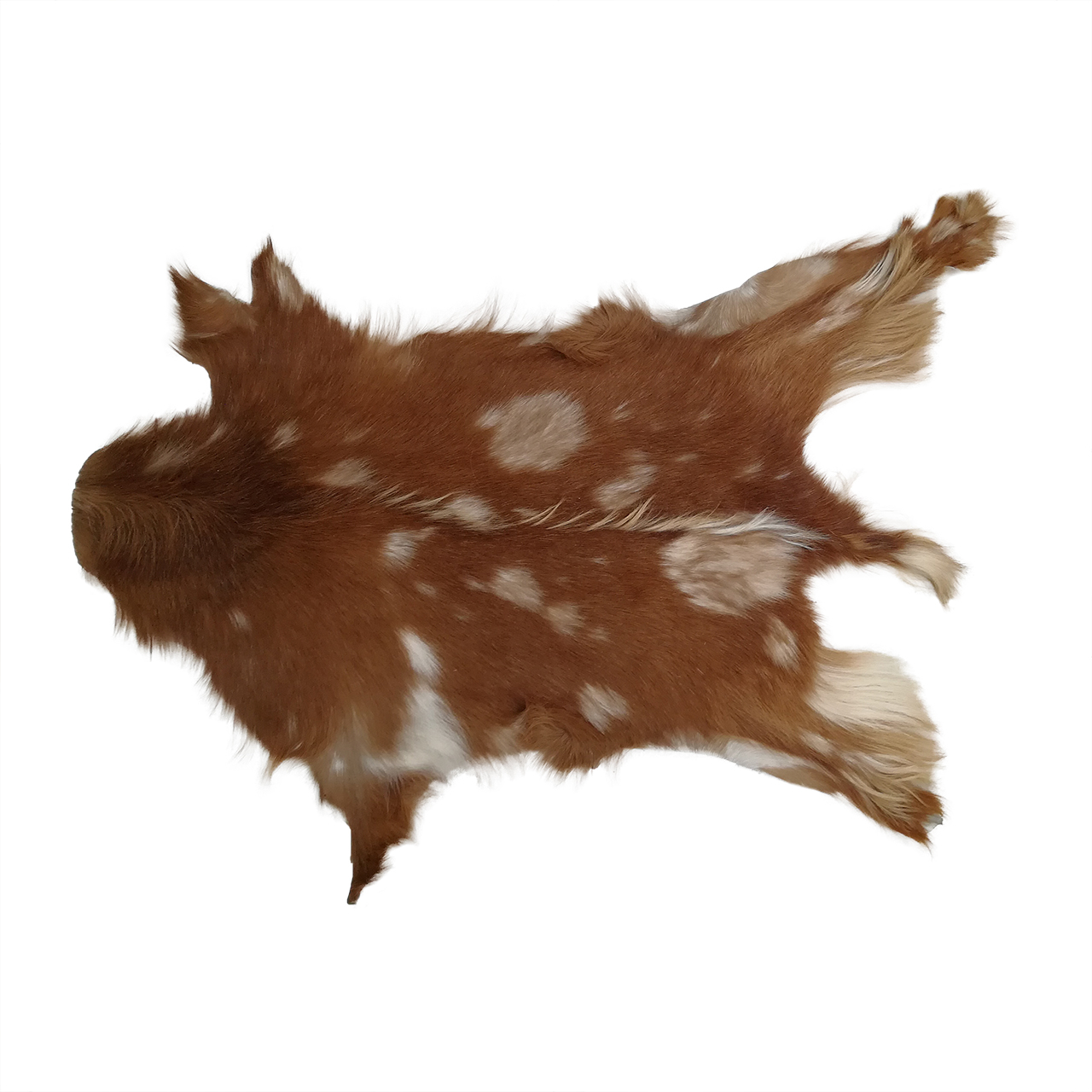 فرش پوست و چرم کمالی مدل AC-00493