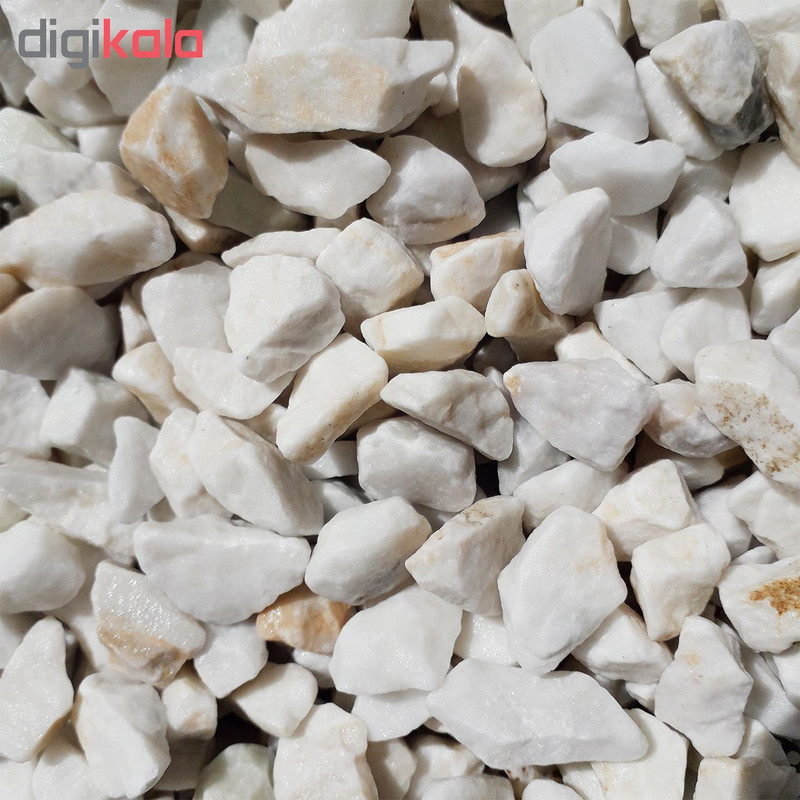 سنگ تزئینی آکواریوم مدل D10 وزن 1 کیلوگرم