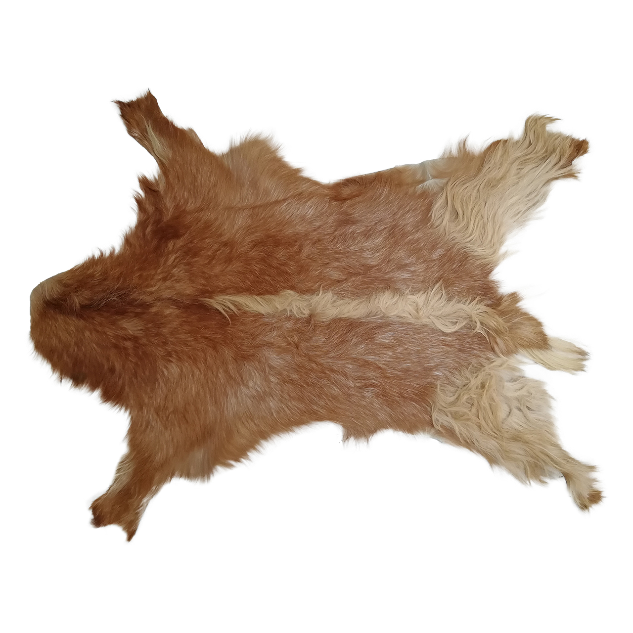 فرش پوست و چرم کمالی مدل AC-00497