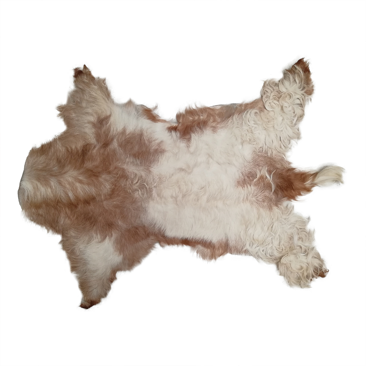 فرش پوست و چرم کمالی مدل AC-00504