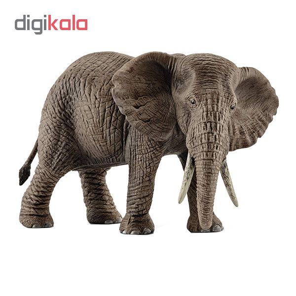 فیگور طرح حیوانات مدلAfrican Elephant, female