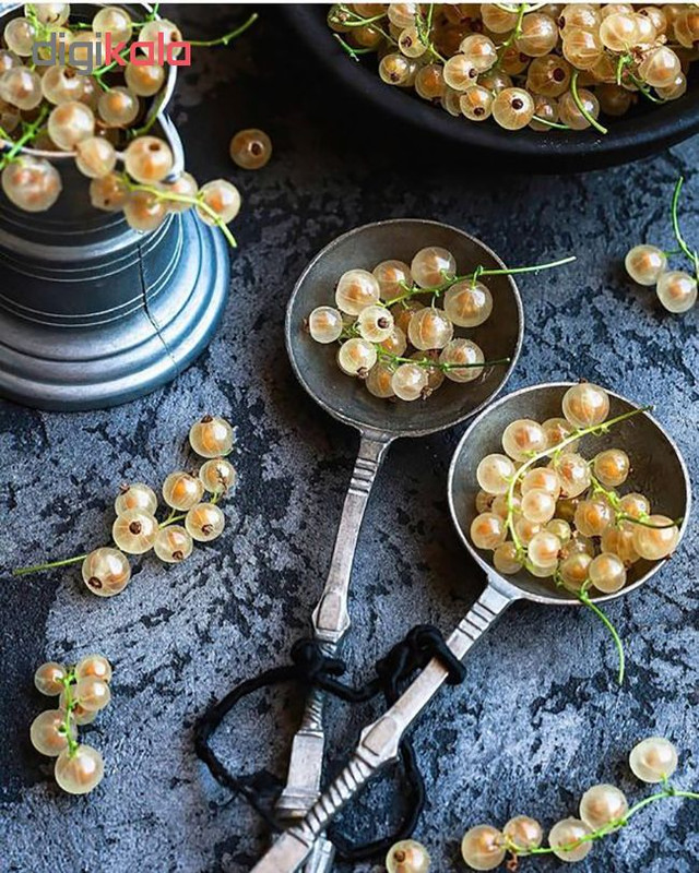 بذر کارنت سفید آذر سبزینه مدل N72