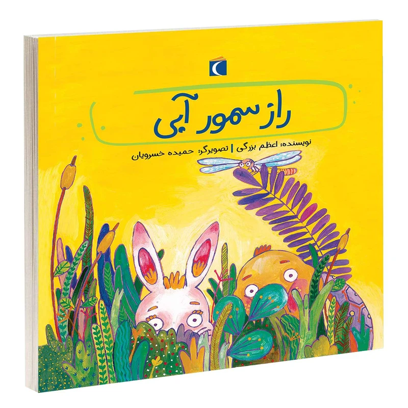 کتاب راز سمور آبی اثر اعظم بزرگی انتشارات محراب قلم