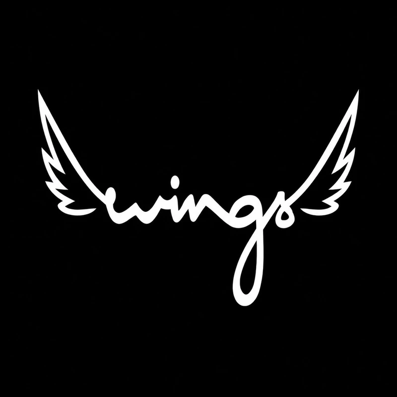 برچسب بدنه خودرو سولگی طرح Wings کد M262