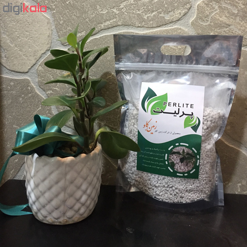 پرلیت زمین کاو مدل 0305L2 وزن 300 گرم پرلیت زمین کاو مدل 0305L2 وزن 300 گرم