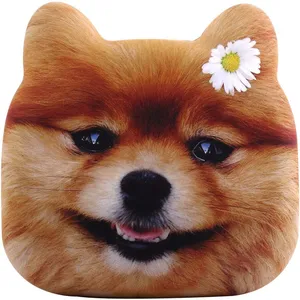 شارژر همراه مدل Villous ظرفیت 5200 میلی آمپر ساعت