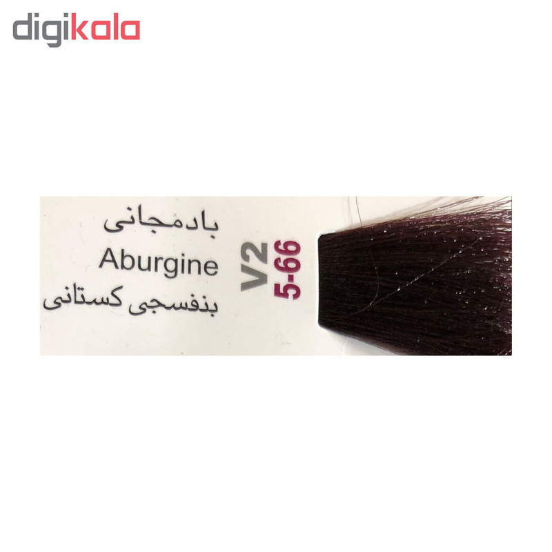 رنگ مو پادینا شماره V2-5-66 حجم 100 میلی لیتر رنگ بادمجانی
