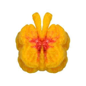 عروسک بافتنی طرح پروانه مدل SML-02