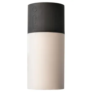 اسپیکر بلوتوثی قابل حمل یل مدل BTS300