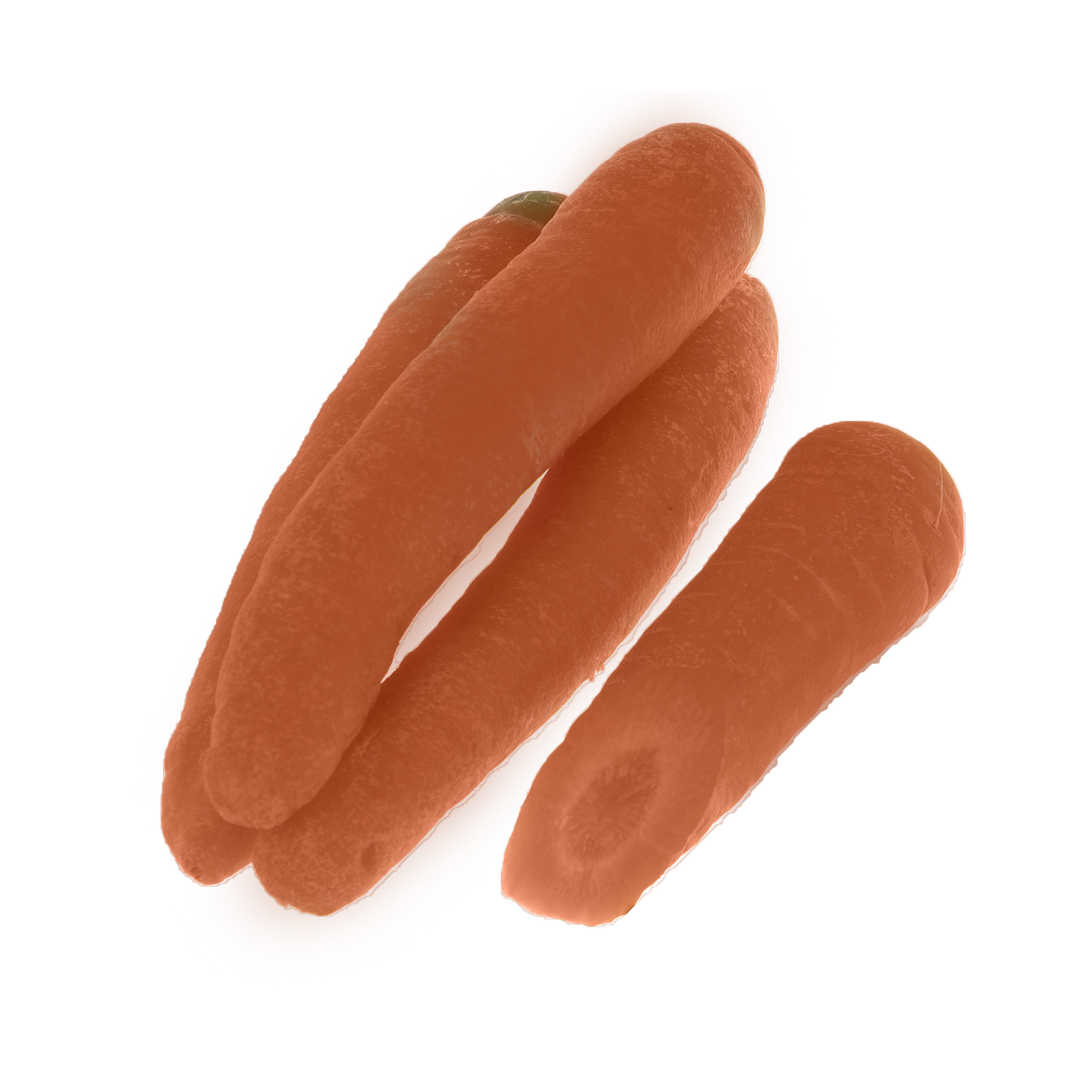 هویج بلوط 1 کیلوگرم