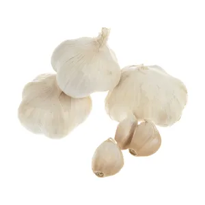 سیر خشک بلوط - 500 گرم