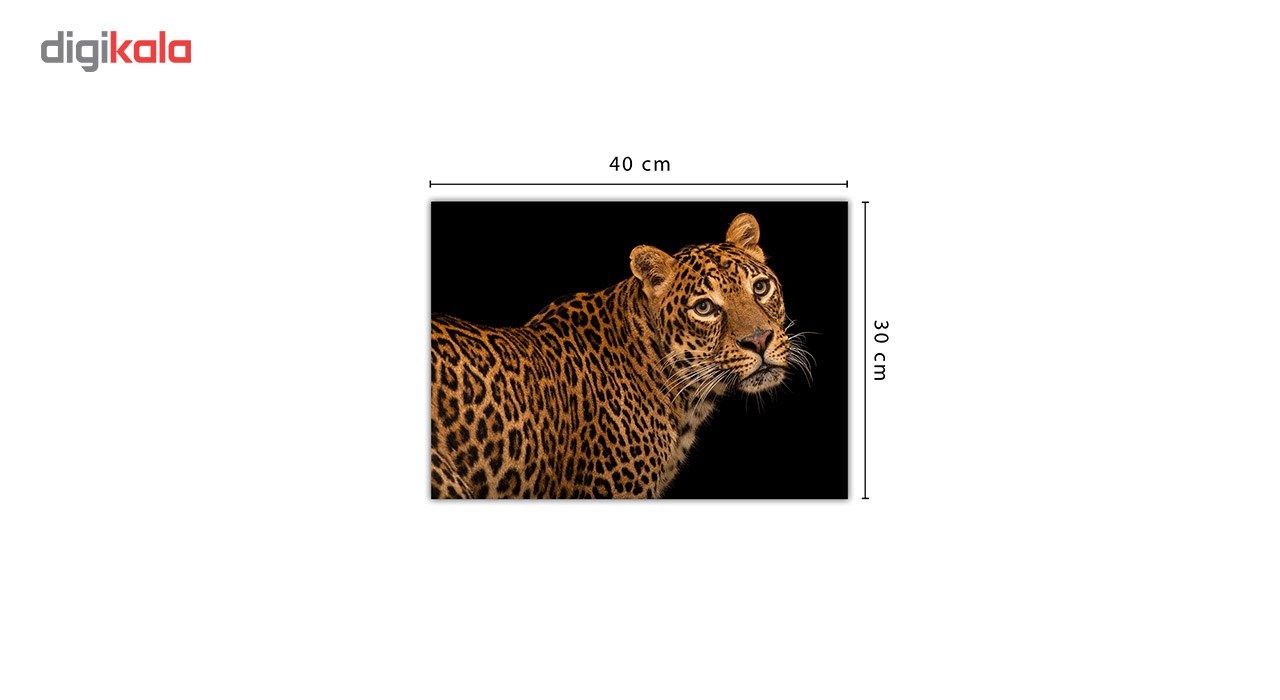 تابلو شاسی ونسونی طرح Coquettish Leopard سایز 30 × 40 سانتی متر main 1 2