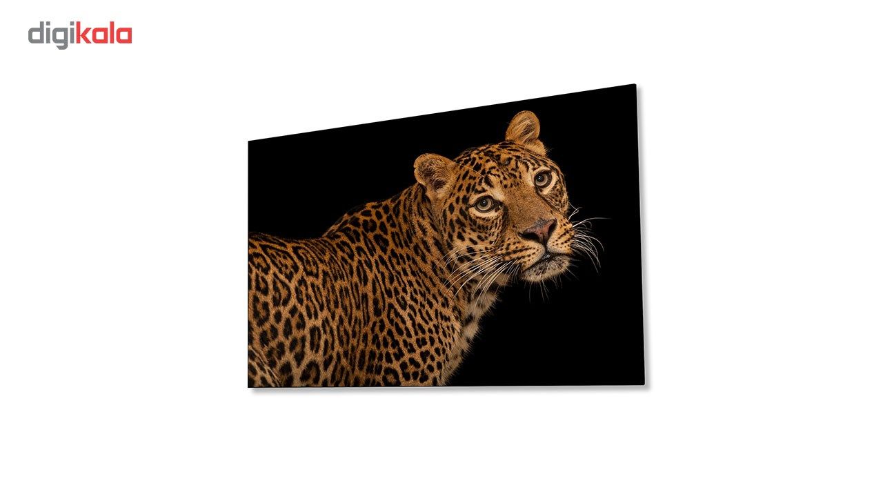 تابلو شاسی ونسونی طرح Coquettish Leopard سایز 30 × 40 سانتی متر main 1 3