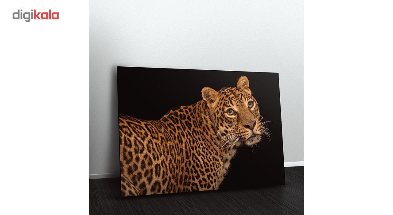 تابلو شاسی ونسونی طرح Coquettish Leopard سایز 30 × 40 سانتی متر main 1 4