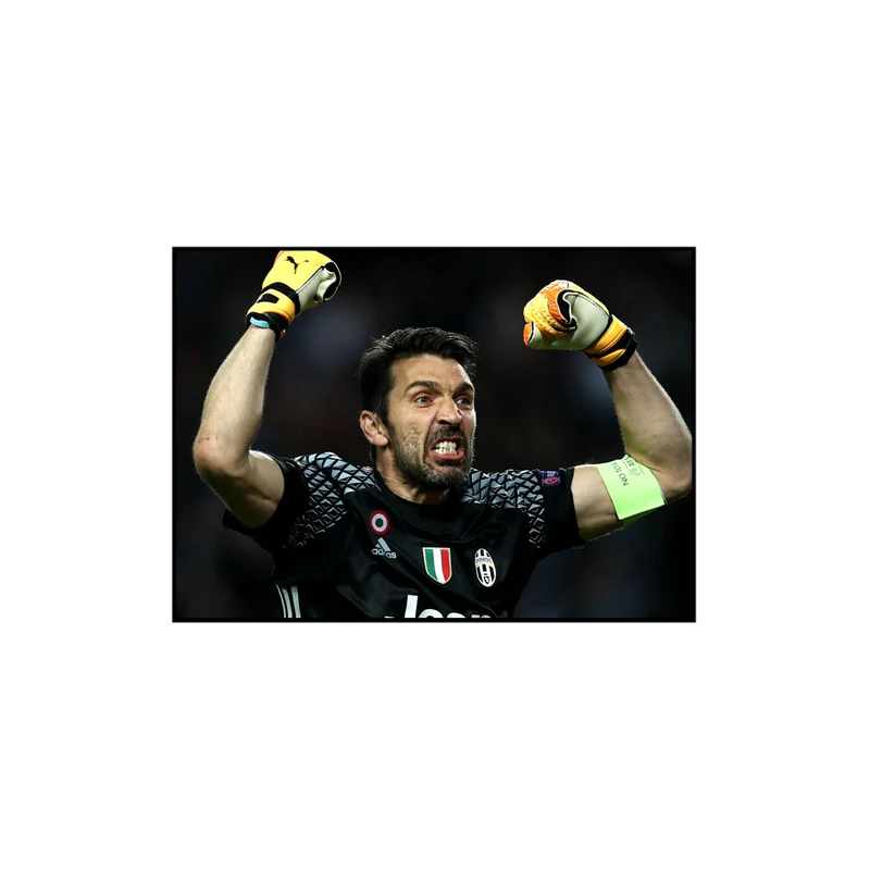 استیکر تیداکس گروپ طرح BUFFON مدل TII188