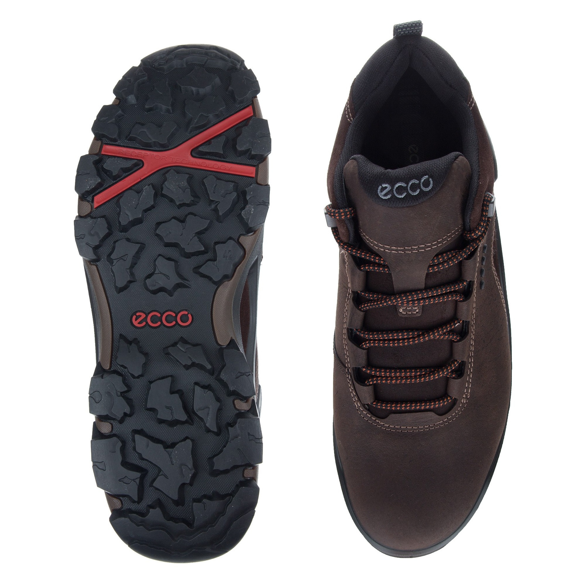 Ecco evo terra deals