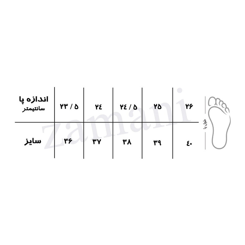 کفش زنانه مدل زمانی کد 425