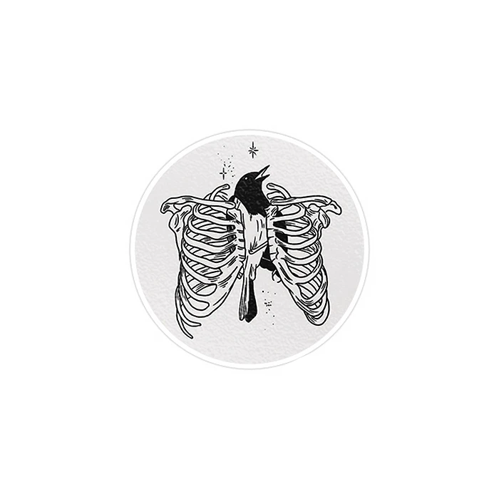 استیکر لپ تاپ ماسا دیزاین طرح پرنده مدل STK736