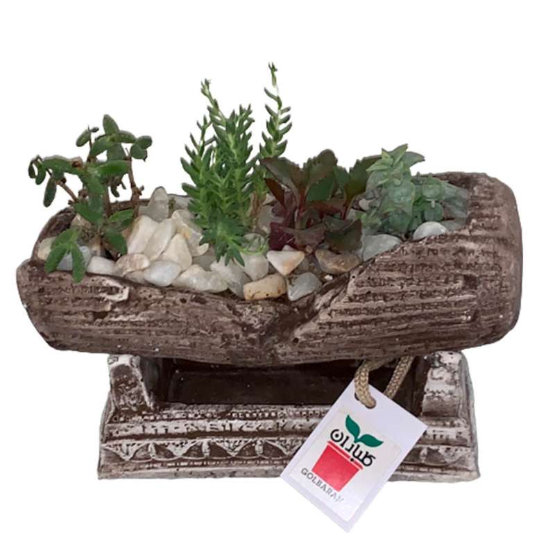 گلدان طبیعی گلباران مدل منشور