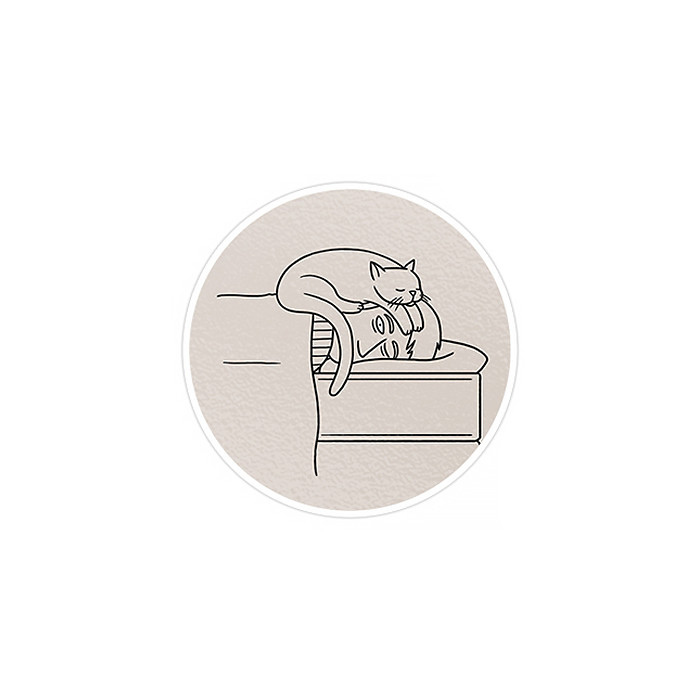 استیکر لپ تاپ ماسا دیزاین طرح گربه مدل STK753