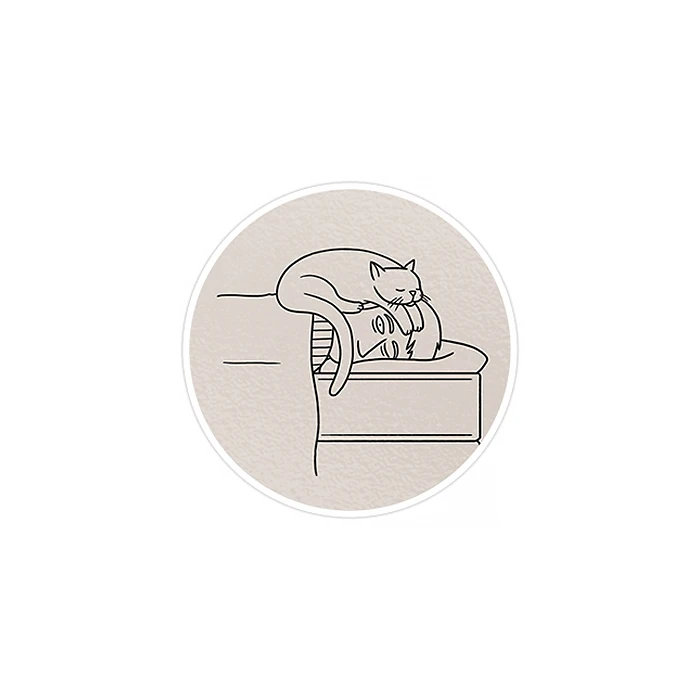 استیکر لپ تاپ ماسا دیزاین طرح گربه مدل STK753