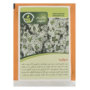 بذر گل مروارید پاکان بذر