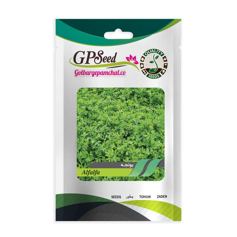بذر یونجه گلبرگ پامچال کد GPF-209 بذر یونجه گلبرگ پامچال کد GPF-209