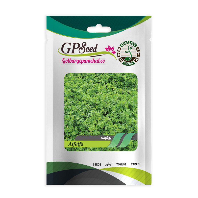 بذر یونجه گلبرگ پامچال کد GPF-209 بذر یونجه گلبرگ پامچال کد GPF-209