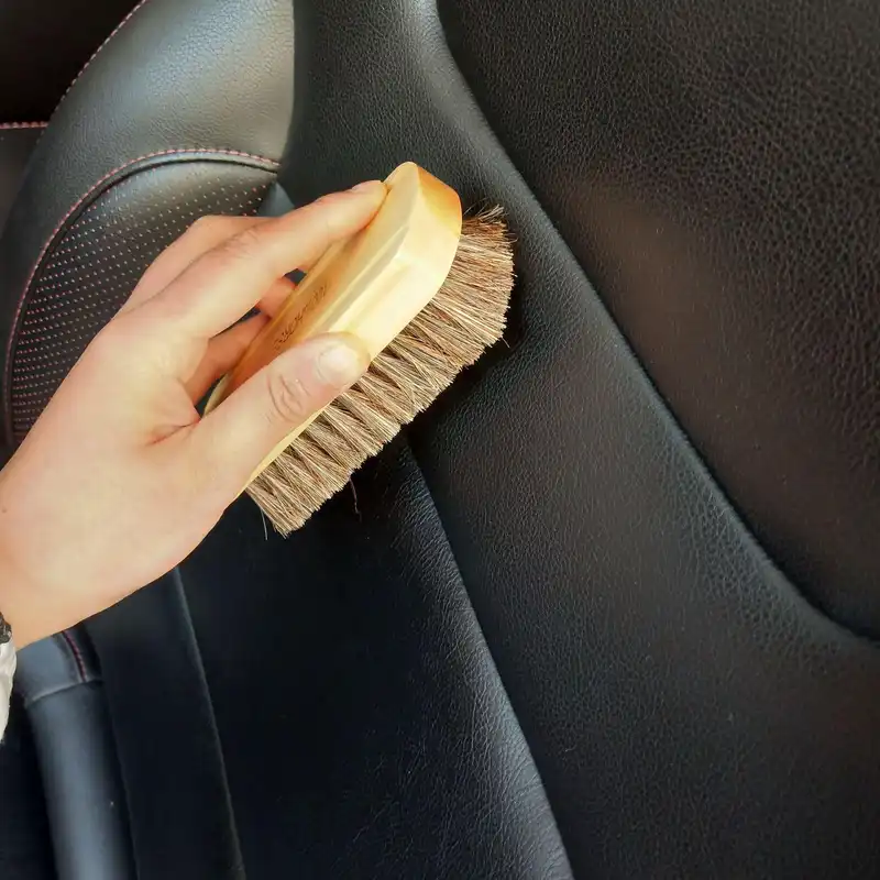 برس کفش کروکودیل مدل Horsebrush