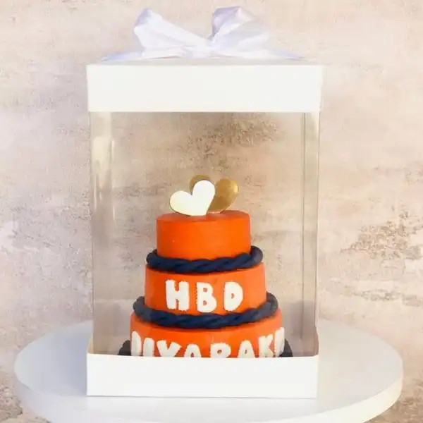 جعبه بسته بندی مدل MT3 بسته 50 عددی