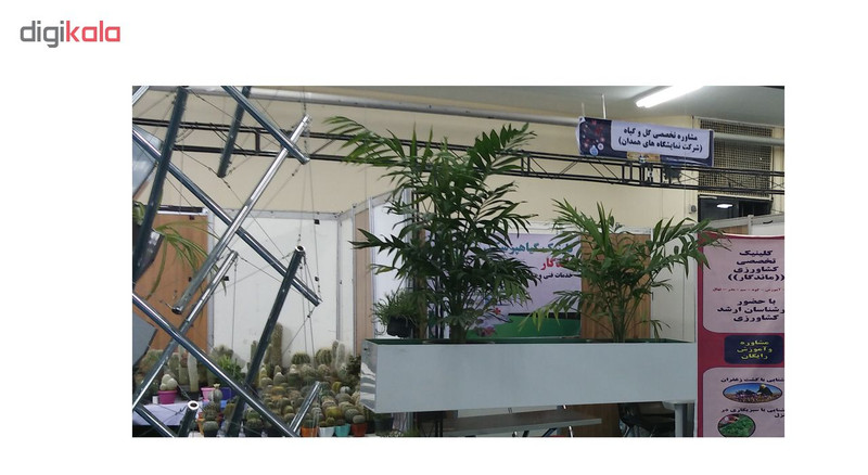 گلدان آویز مدل bp4