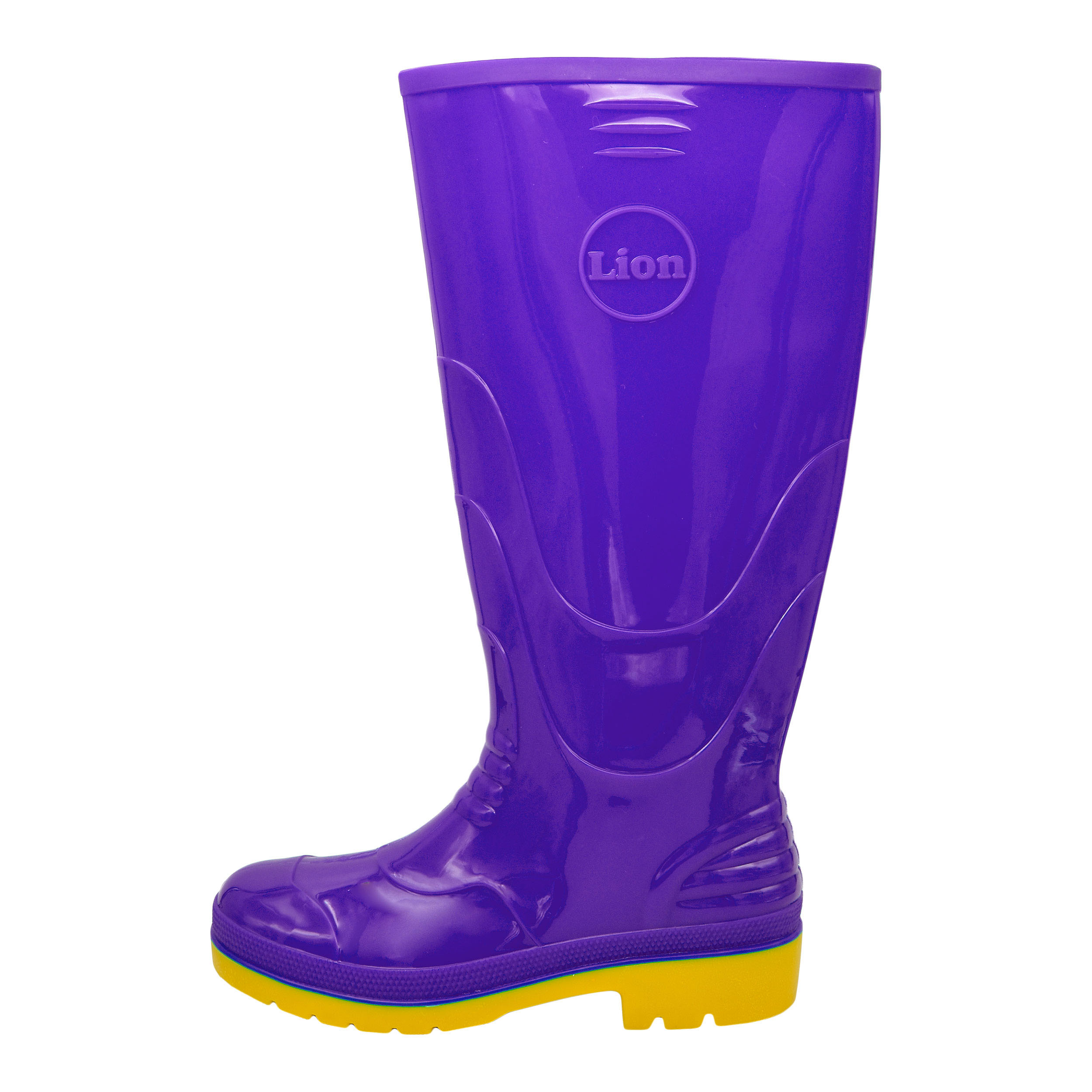 بوت زنانه لیون مدل دنا کد 9472