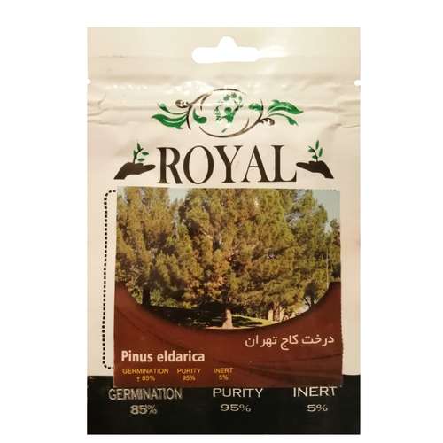 بذر درخت کاج تهران رویال مدل ZR-99