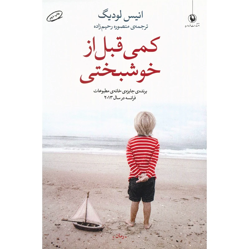 کتاب کمی قبل از خوشبختی اثر انیس لودیگ