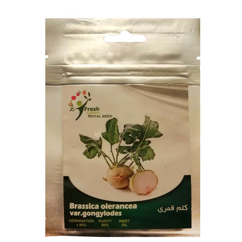 بذر کلم قمری رویال سید مدل ZR-104 بذر کلم قمری رویال سید مدل ZR-104