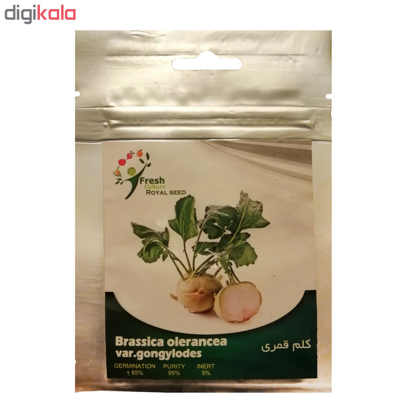 بذر کلم قمری رویال سید مدل ZR-104 بذر کلم قمری رویال سید مدل ZR-104