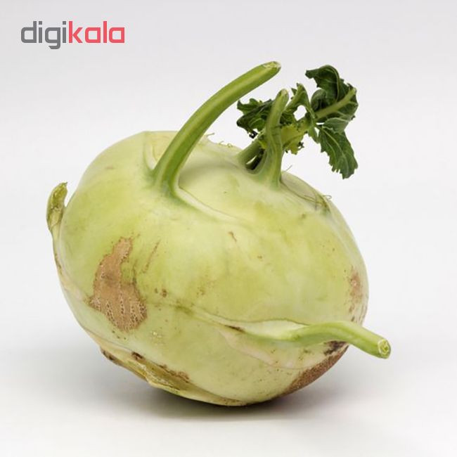 بذر کلم قمری رویال سید مدل ZR-104 بذر کلم قمری رویال سید مدل ZR-104