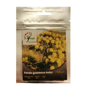 بذر گیاه دارویی باریجه رویال سید مدل ZR-107