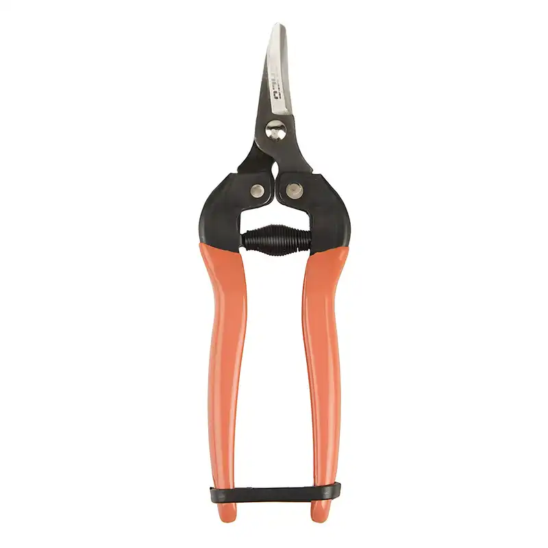 قیچی میوه چین 6 اینچی بهکو مدل BP-1651