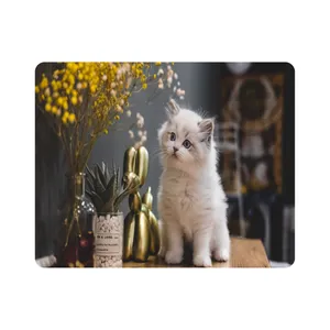 ماوس پد طرح گربه مدل T8089