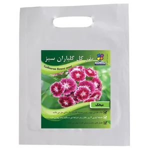 بذر گل میخک گلباران سبز